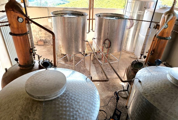 Lamim lidera ranking nacional de cachaçarias por habitante e aposta em expansão da produção e do turismo