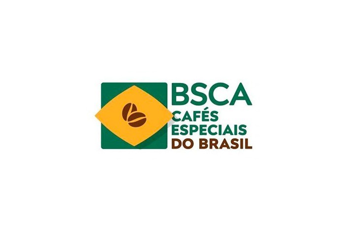 BSCA alerta para impacto de tarifa de 50% dos EUA sobre cafés especiais brasileiros