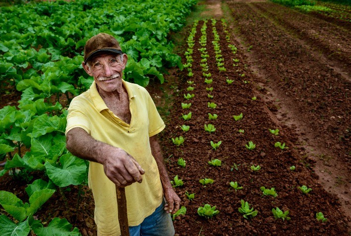 BNDES aprova R$ 5,3 bilhões em crédito do Plano Safra 2025/2026 em apenas 8 dias