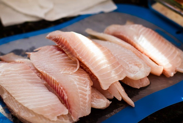 Exportações de peixes crescem 52% e fortalecem a piscicultura brasileira no primeiro semestre de 2025