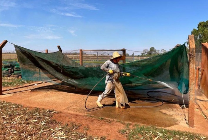 Faxina na piscicultura: a importância da limpeza e desinfecção para a saúde dos peixes