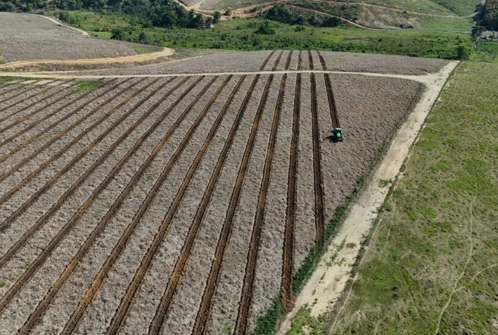 Reflorestar anuncia investimento de R$ 35 milhões no segundo semestre e amplia portfólio com soluções florestais mecanizadas