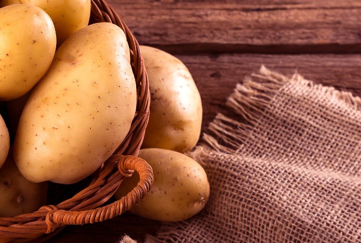 Batata e tomate enfrentam requeima e pragas: produtores devem adotar manejo integrado para evitar perdas severas