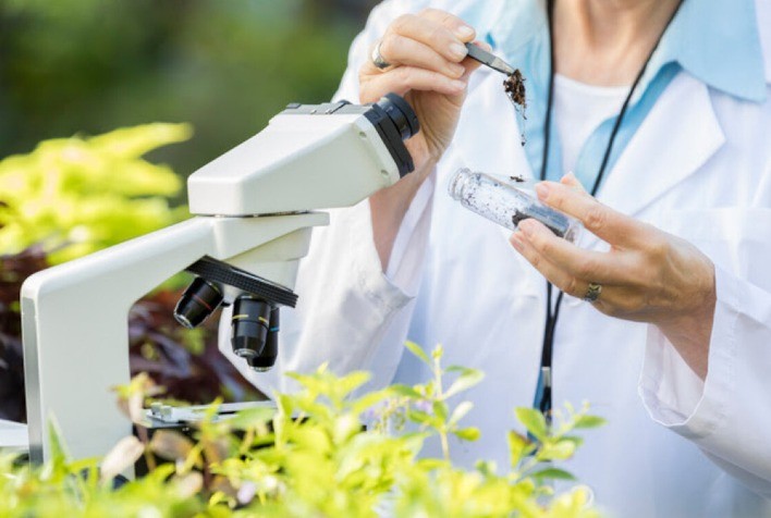 Parceria entre Symbiomics e Nitro promete acelerar lançamento de soluções biológicas para nutrição vegetal até 2029