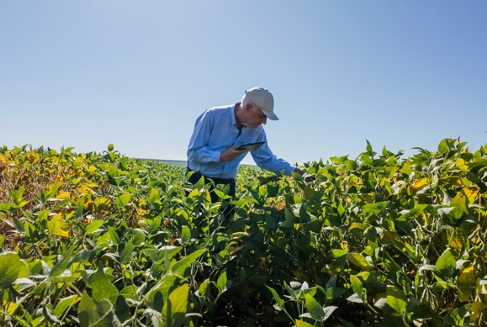 Inoculantes biológicos elevam produtividade e marcam nova era da agricultura brasileira