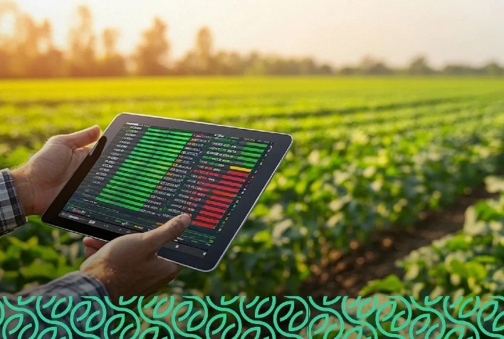 Plataforma digital gratuita conecta produtores, técnicos e pesquisadores em todo o Brasil