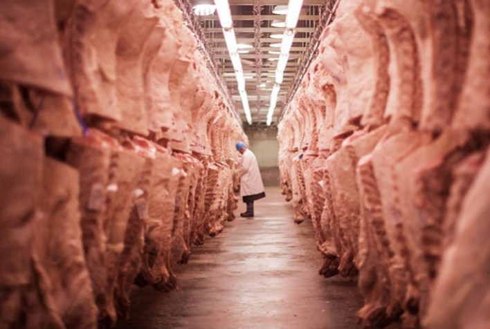 EUA mantêm tarifa de 50% sobre carne bovina brasileira; arroba registra alta após queda em julho