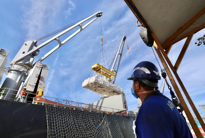 Brasil fecha acordo para exportar gergelim à África do Sul em 2024