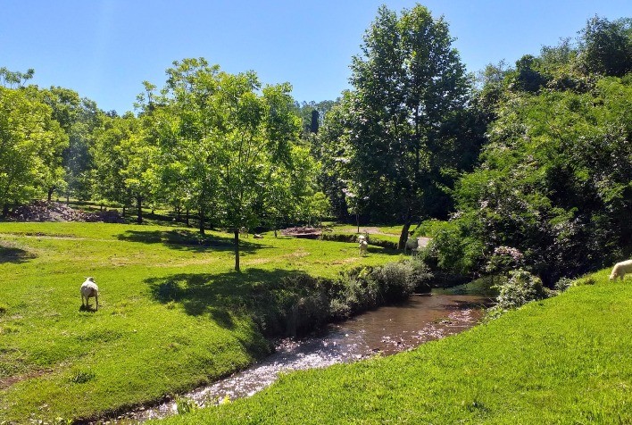 Curso sobre Irrigação em Nogueira-Pecã discute soluções para déficit hídrico e aumento da produtividade