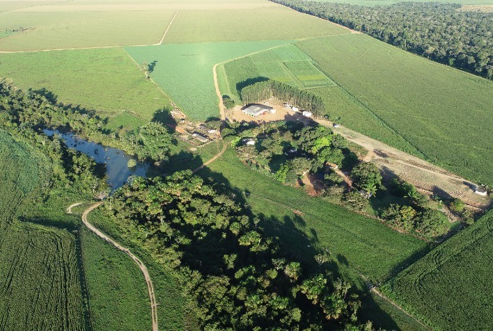 Fazenda de soja em Mato Grosso se destaca em gestão sustentável e impacto social com certificação RTRS