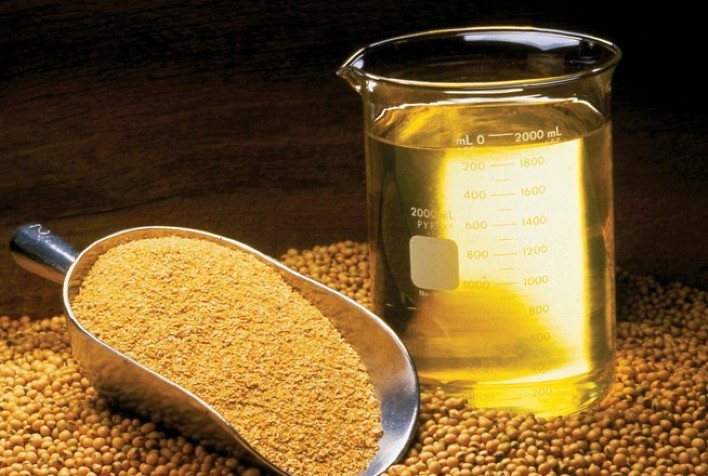 Farelo de soja mantém queda histórica enquanto óleo registra alta com demanda aquecida