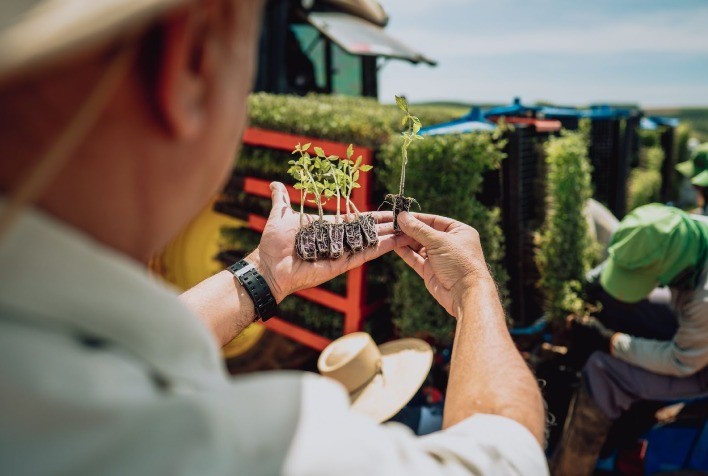 Programa agrícola da Kraft Heinz Brasil aumenta produtividade em 25% e se torna referência global em sustentabilidade e diversidade