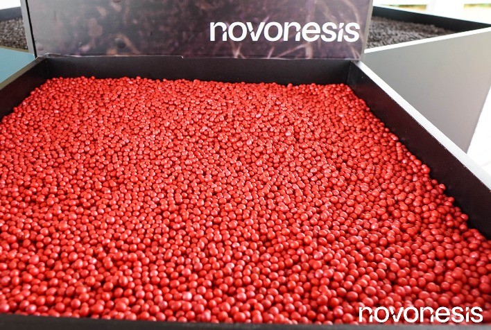 Inoculantes biológicos reduzem até 95% dos custos com fertilizantes nitrogenados e aumentam produtividade da soja