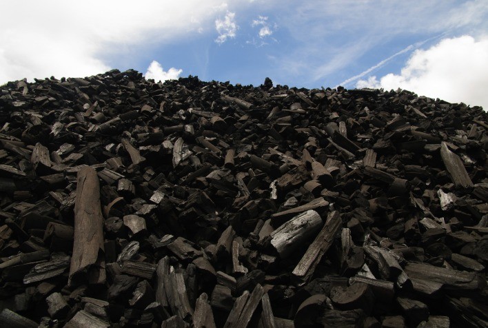 Minas Gerais passa a divulgar cotação do carvão vegetal para apoiar produtores florestais