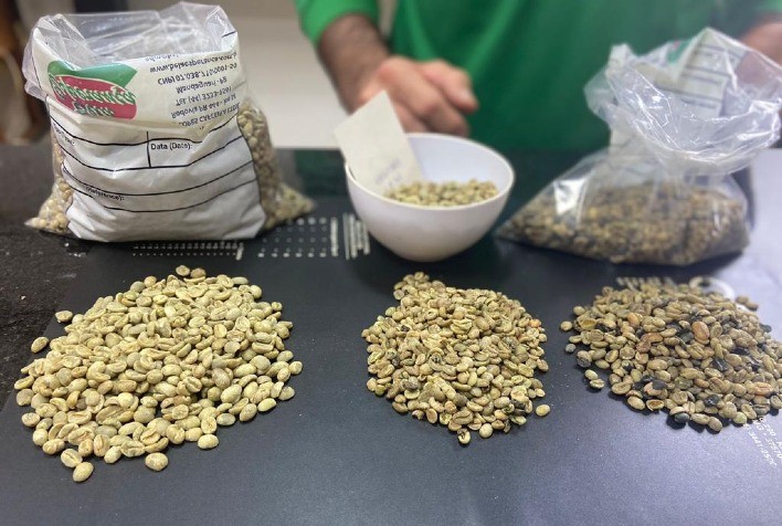 Café de Mandaguari conquista Denominação de Origem com análise microbiológica inédita