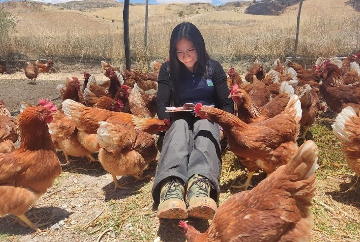 Certificação de bem-estar animal cresce 100% na Ásia e fortalece produção responsável