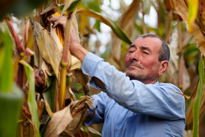 Reforma Tributária 2026: produtores rurais terão que lidar com dois sistemas fiscais paralelos