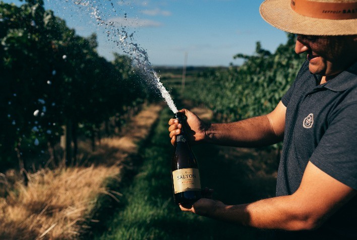 Salton, maior exportadora de espumantes do Brasil, é premiada por atuação internacional