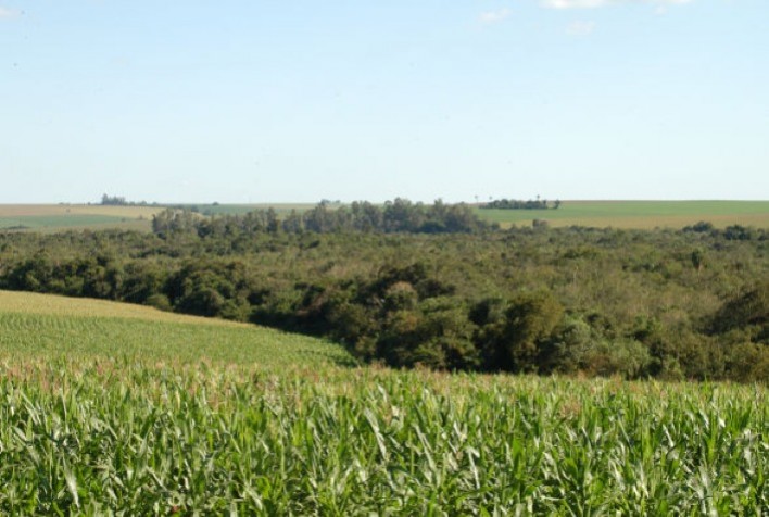 Paraná regulariza 25% das propriedades no CAR e beneficia 65 mil produtores rurais