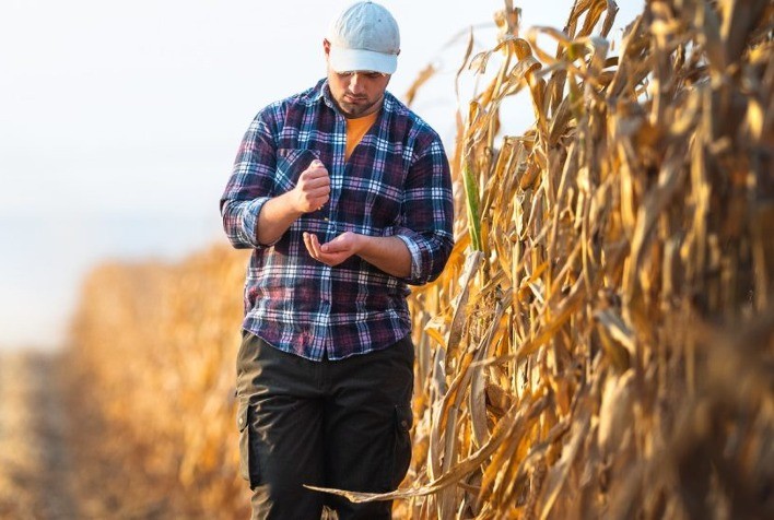 Faesp alerta para riscos ao agro com juros altos e tensões comerciais com EUA