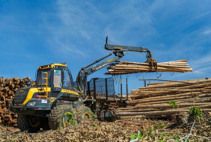 Show Florestal 2025: Sotreq apresenta soluções inovadoras para florestas plantadas