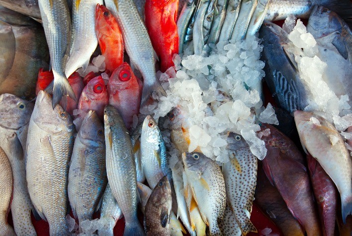Tarifas dos EUA impactam agronegócio brasileiro: preços de pescados, frutas, carnes e café podem oscilar