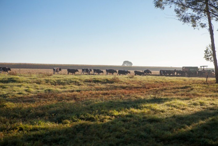 Goiás reforça liderança no agronegócio com dados da Radiografia do Agro Goiano