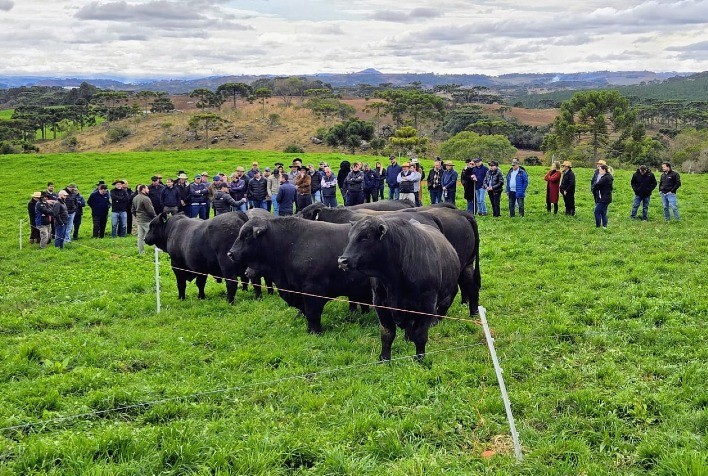 Dia de Campo em São Joaquim reúne mais de 100 produtores e destaca avanços da pecuária de corte