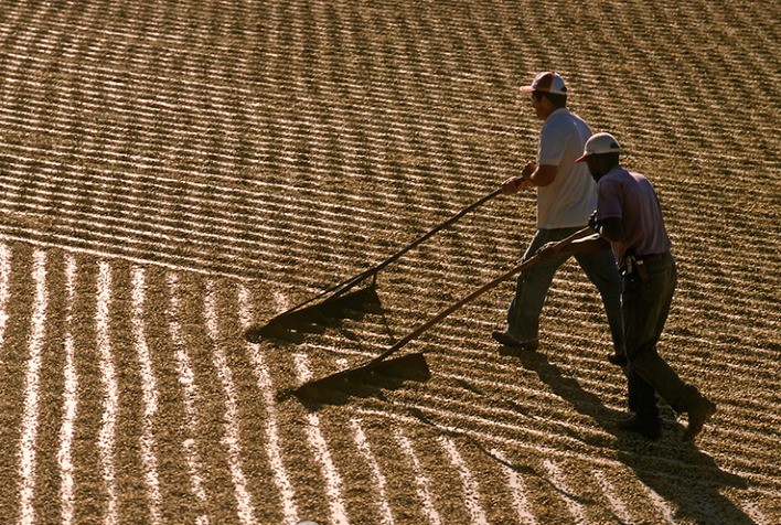 Coletânea inédita analisa economia e trabalho no Brasil Rural