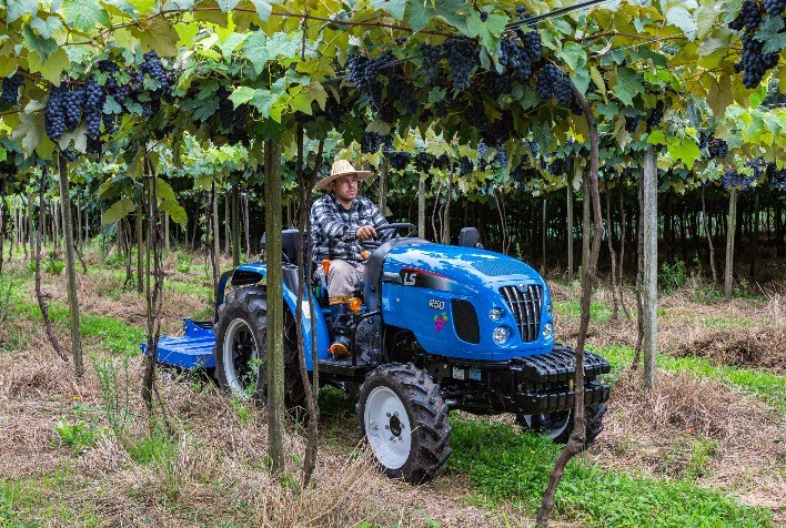 Agricultura familiar ganha destaque na Expointer 2025 com tecnologias e oportunidades de negócio