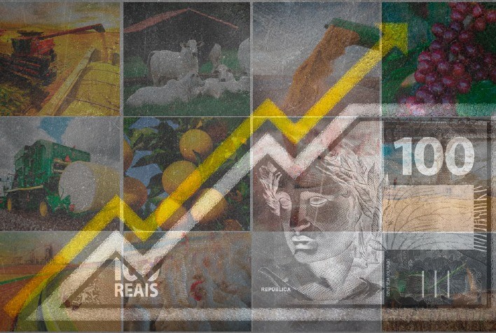 IPPA registra queda em julho, mas acumula alta de 16,4% no ano, aponta Cepea