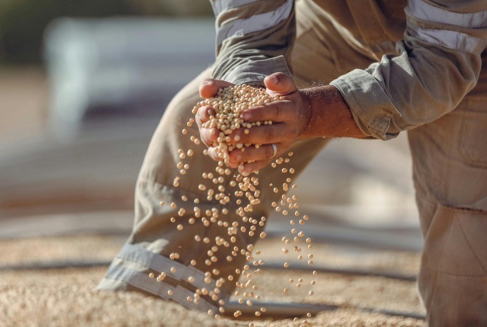 Suspensão da Moratória da Soja pelo Cade gera críticas e pode impactar imagem do Brasil na COP30