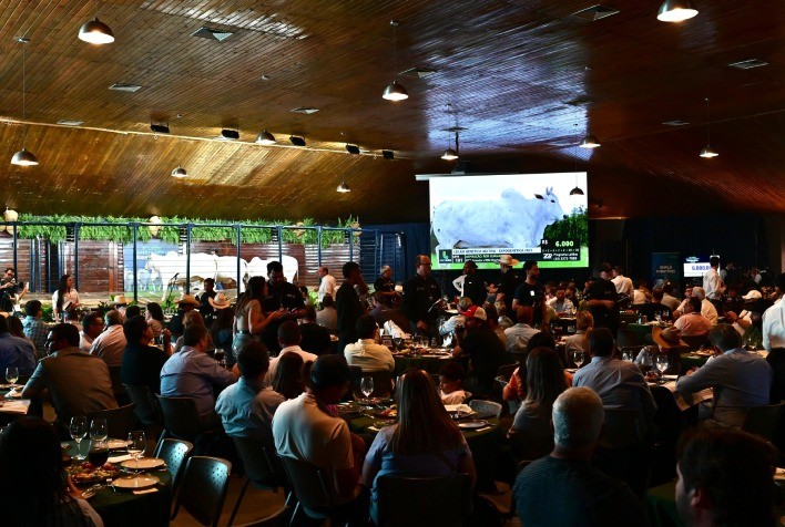 Leilões da 18ª ExpoGenética já superam R$ 77,5 milhões em movimentação financeira