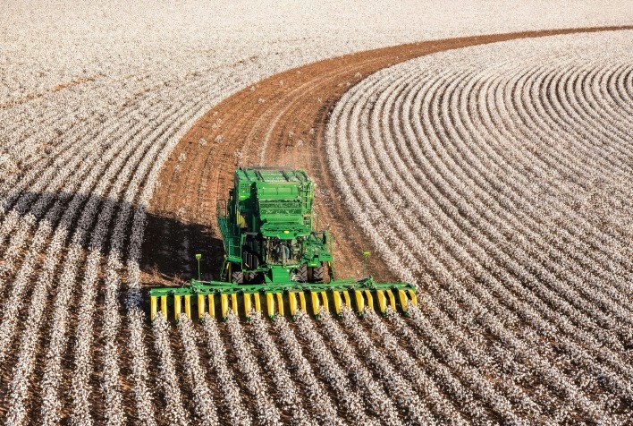 Colheita de algodão em Mato Grosso atinge 40% da área plantada
