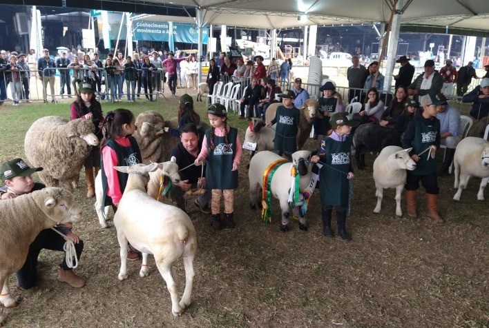 Expointer 2025: ovinocultura valoriza jovens e promove carne de qualidade