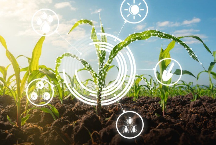 Agro 5.0: tecnologia e inovação aceleram a revolução no agronegócio mundial