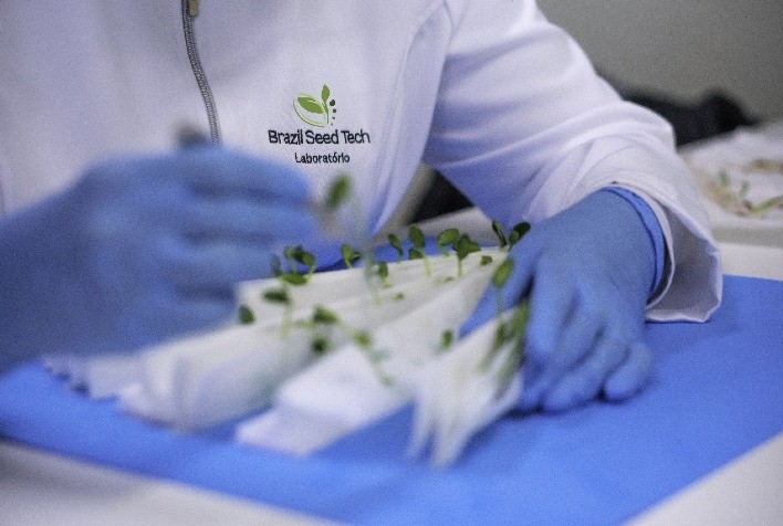 Buntech Agro expande atuação na América do Sul com aquisição de quatro empresas de tecnologia de sementes