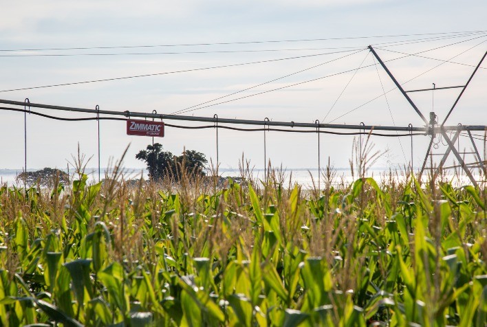 Mesmo com aumento da taxa de juros, investimentos em irrigação continuam vantajosos no Brasil