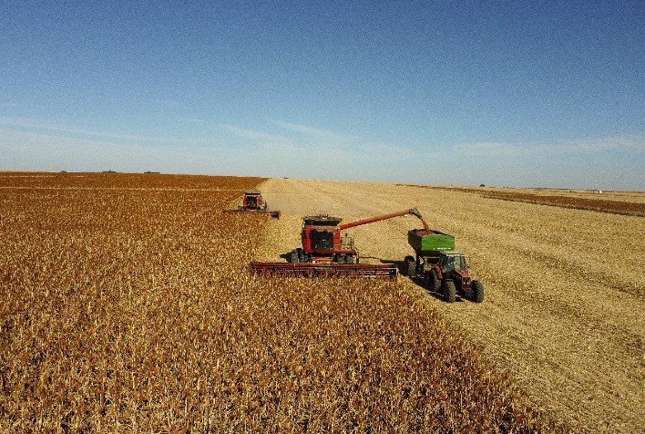 Acordo Histórico Abre Caminho para Exportação de Sorgo Brasileiro à China
