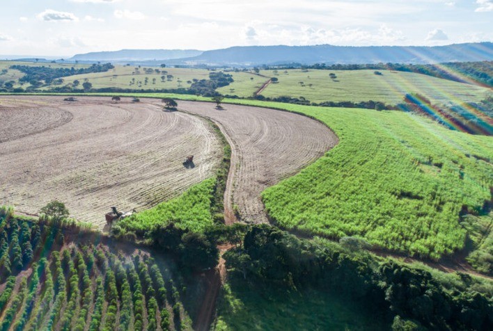 Nova Lei de Licenciamento Ambiental Traz Mais Agilidade para Produtores Rurais