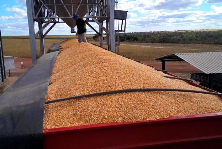 Como produtores rurais podem se proteger de calotes de cerealistas