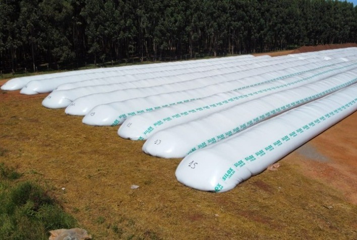 Silos secadores ajudam a suprir déficit de armazenagem em Santa Catarina