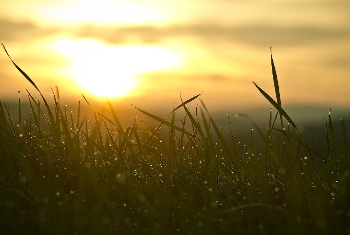 Seca e calor no primeiro semestre de 2025 pressionam produção agrícola no Brasil, aponta Nottus