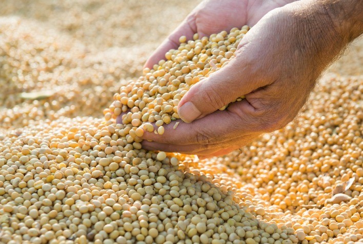 Justiça mantém Moratória da Soja e reforça importância do acordo para o setor