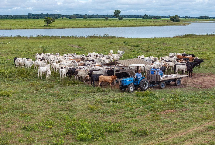 Tratores da LS Tractor chegam à Expointer 2025 com foco na pecuária moderna