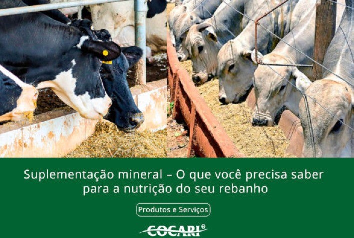 Suplementação mineral: Guia completo para a nutrição eficiente do rebanho