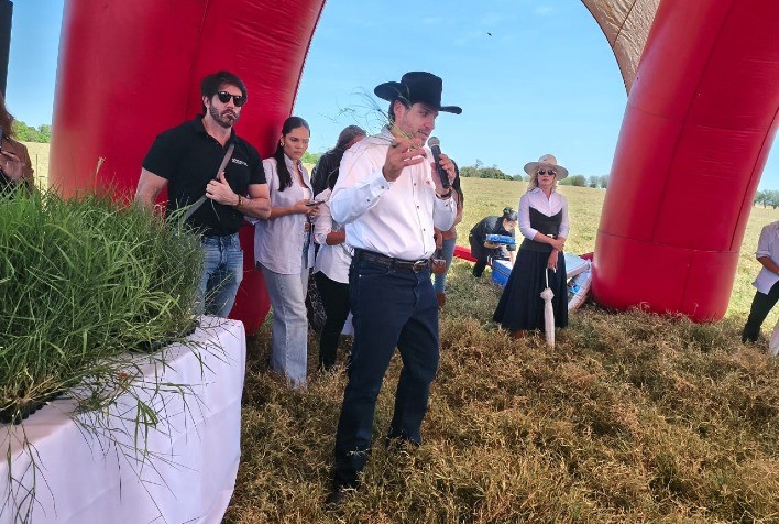 Mulheres pecuaristas conhecem tecnologia do capim Tifton 85 em dia de campo em Goiás