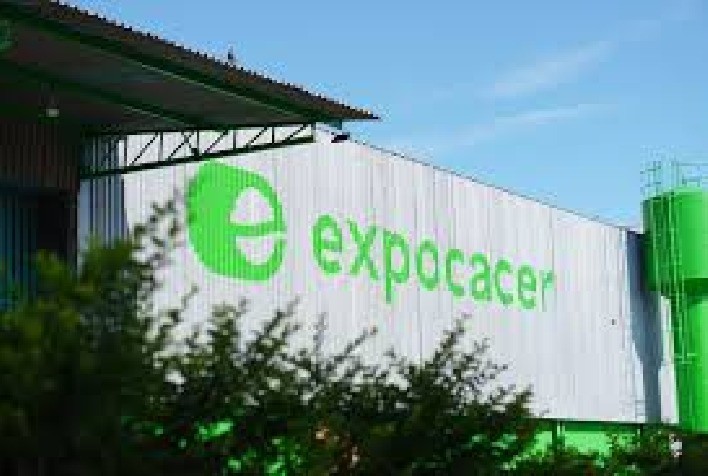 Expocacer reduz 10,4% das emissões de carbono e se destaca em sustentabilidade no setor cafeeiro