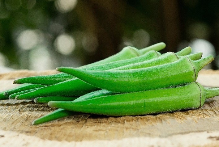 Agricultura familiar adota tecnologia e cultivares avançadas para aumentar produtividade
