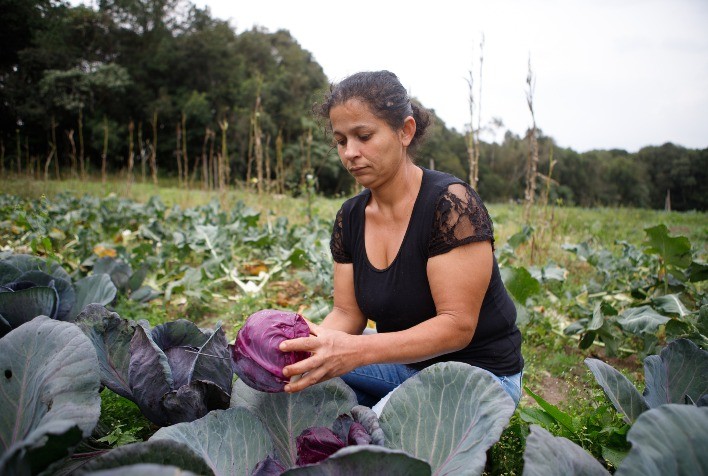BNDES lança programa de bioinsumos com aporte de R$ 60 milhões para agricultura familiar